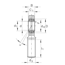 桿端軸承 GAL10-DO, 根據(jù) DIN ISO 12 240-4 標準，帶左旋外螺紋，需維護