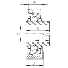 直立式軸承座單元 RASEL60-N, 鑄鐵軸承座，浮動軸承，內(nèi)圈有驅(qū)動槽，R 型密封